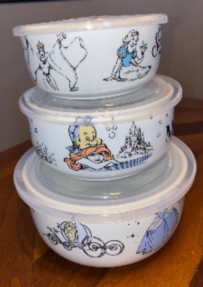 Disney Princess Storage Containers Sealed Lid Snow White Cinderella Ariel Set