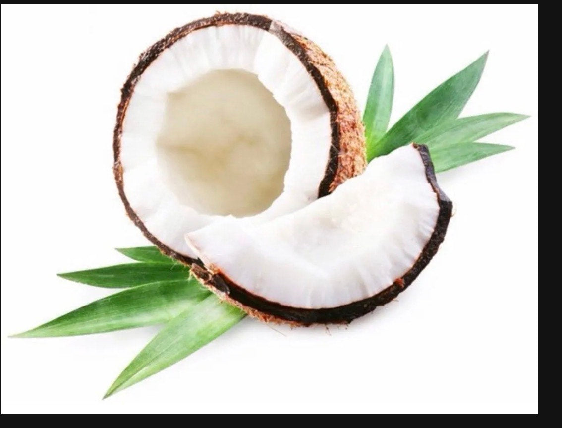 Let's Go Coconut Moisturizing Lip Oil